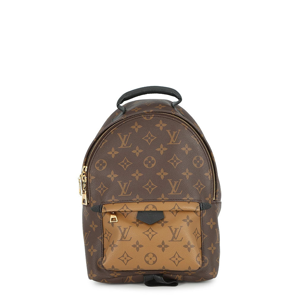 Louis Vuitton Monogram Reverse Palm Springs Backpack Bag Black